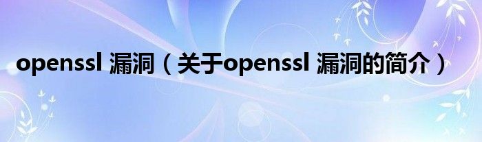 openssl 漏洞（關于openssl 漏洞的簡介）