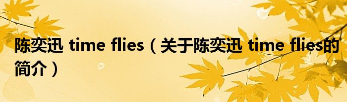 陳奕迅 time flies（關(guān)于陳奕迅 time flies的簡(jiǎn)介）