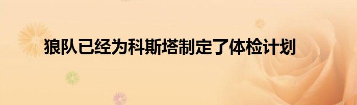 狼隊已經(jīng)為科斯塔制定了體檢計劃