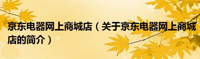 京東電器網(wǎng)上商城店（關(guān)于京東電器網(wǎng)上商城店的簡介）