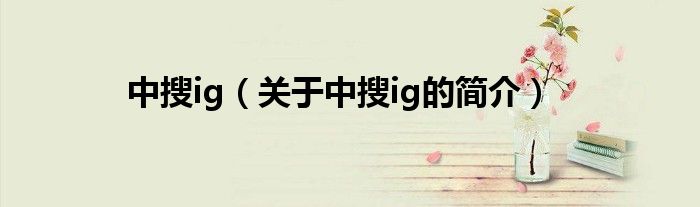 中搜ig（關(guān)于中搜ig的簡(jiǎn)介）