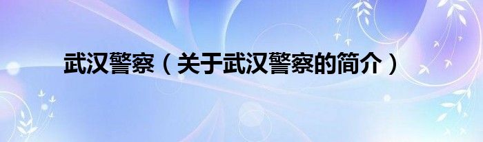 武漢警察（關(guān)于武漢警察的簡(jiǎn)介）