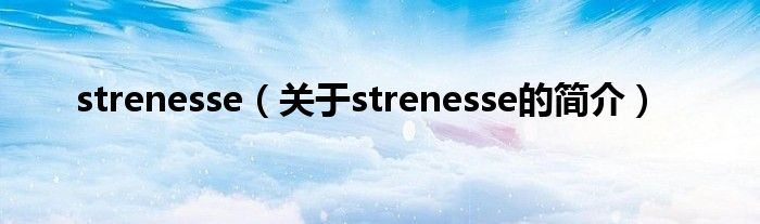 strenesse（關(guān)于strenesse的簡(jiǎn)介）