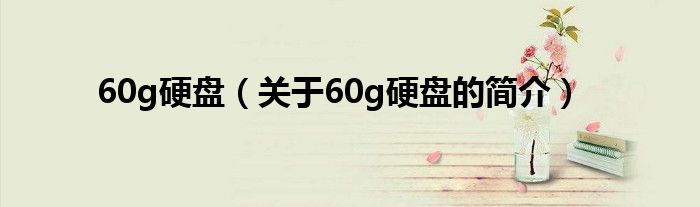 60g硬盤（關(guān)于60g硬盤的簡介）