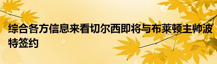 綜合各方信息來(lái)看切爾西即將與布萊頓主帥波特簽約