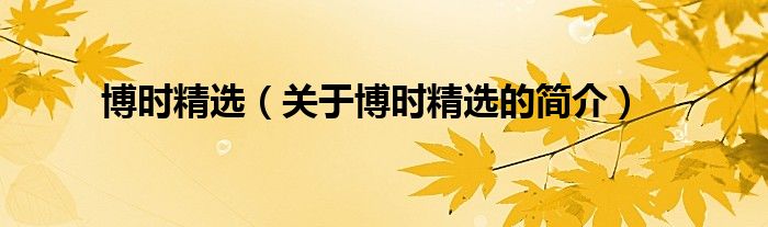 博時精選（關(guān)于博時精選的簡介）