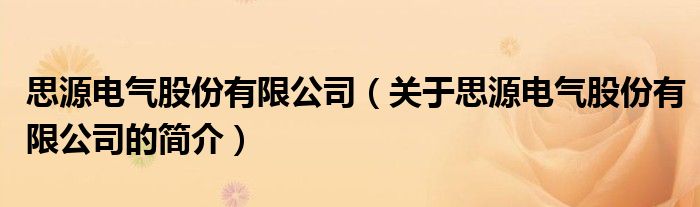 思源電氣股份有限公司（關(guān)于思源電氣股份有限公司的簡介）