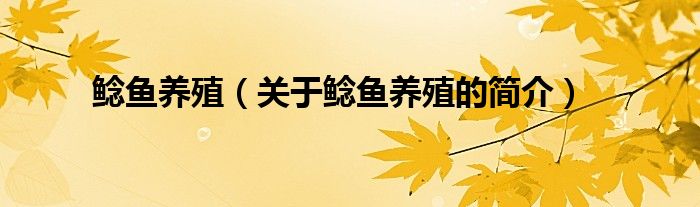 鯰魚養(yǎng)殖（關(guān)于鯰魚養(yǎng)殖的簡介）