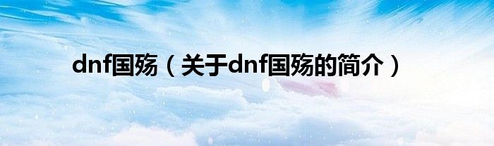 dnf國殤（關(guān)于dnf國殤的簡介）