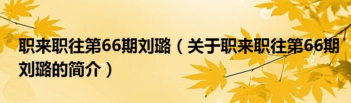 職來職往第66期劉璐（關(guān)于職來職往第66期劉璐的簡(jiǎn)介）