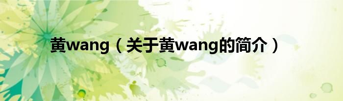 黃wang（關(guān)于黃wang的簡(jiǎn)介）