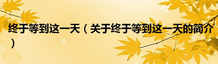 終于等到這一天（關(guān)于終于等到這一天的簡(jiǎn)介）