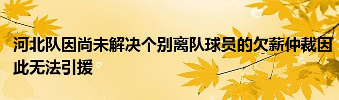 河北隊(duì)因尚未解決個(gè)別離隊(duì)球員的欠薪仲裁因此無(wú)法引援