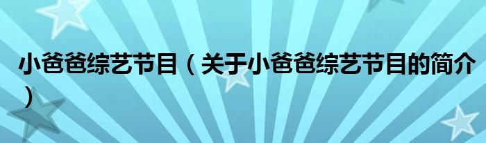 小爸爸綜藝節(jié)目（關(guān)于小爸爸綜藝節(jié)目的簡介）