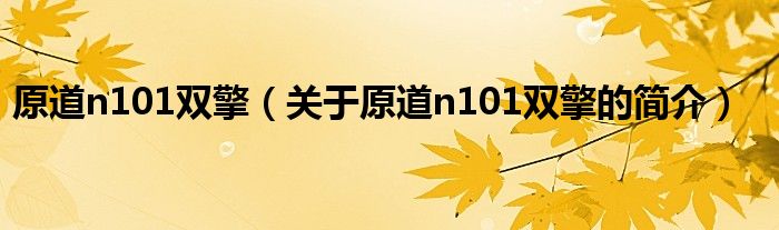 原道n101雙擎（關(guān)于原道n101雙擎的簡介）