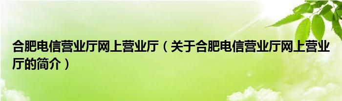 合肥電信營業(yè)廳網(wǎng)上營業(yè)廳（關(guān)于合肥電信營業(yè)廳網(wǎng)上營業(yè)廳的簡介）