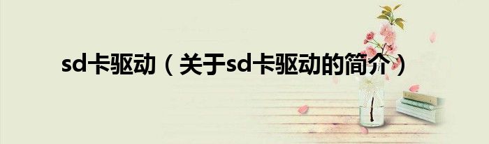 sd卡驅動（關于sd卡驅動的簡介）