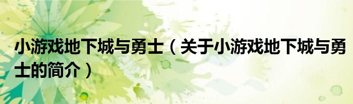 小游戲地下城與勇士（關(guān)于小游戲地下城與勇士的簡(jiǎn)介）