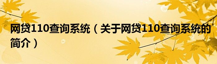 網(wǎng)貸110查詢系統(tǒng)（關(guān)于網(wǎng)貸110查詢系統(tǒng)的簡(jiǎn)介）