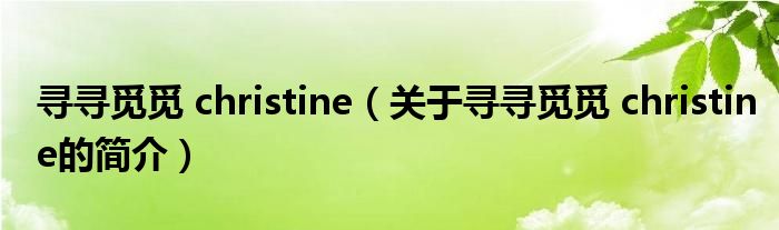 尋尋覓覓 christine（關于尋尋覓覓 christine的簡介）