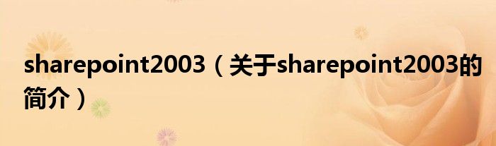 sharepoint2003（關(guān)于sharepoint2003的簡(jiǎn)介）