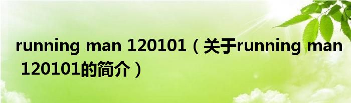 running man 120101（關(guān)于running man 120101的簡介）