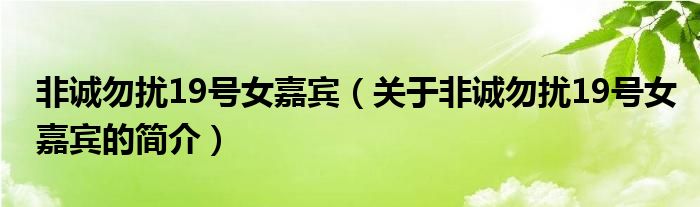 非誠勿擾19號(hào)女嘉賓（關(guān)于非誠勿擾19號(hào)女嘉賓的簡介）