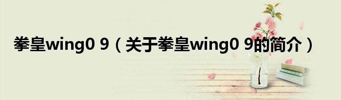 拳皇wing0 9（關(guān)于拳皇wing0 9的簡(jiǎn)介）