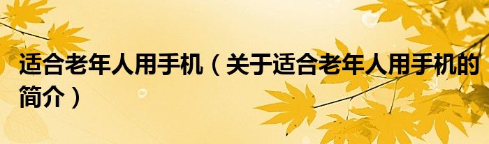 適合老年人用手機(jī)（關(guān)于適合老年人用手機(jī)的簡(jiǎn)介）