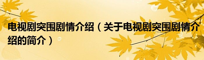 電視劇突圍劇情介紹（關(guān)于電視劇突圍劇情介紹的簡(jiǎn)介）