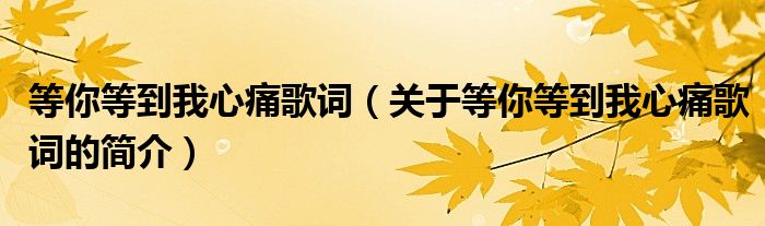 等你等到我心痛歌詞（關(guān)于等你等到我心痛歌詞的簡(jiǎn)介）