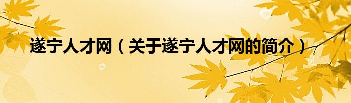 遂寧人才網(wǎng)（關(guān)于遂寧人才網(wǎng)的簡介）