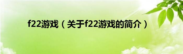 f22游戲（關(guān)于f22游戲的簡介）