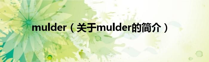 mulder（關(guān)于mulder的簡介）