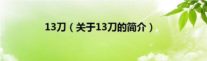 13刀（關(guān)于13刀的簡介）