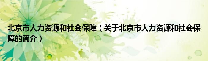 北京市人力資源和社會保障（關(guān)于北京市人力資源和社會保障的簡介）