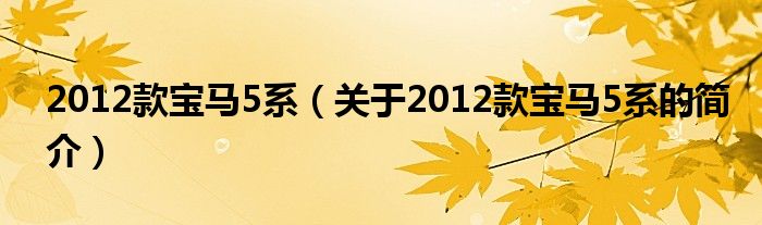 2012款寶馬5系（關(guān)于2012款寶馬5系的簡(jiǎn)介）