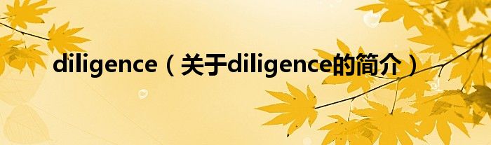 diligence（關(guān)于diligence的簡介）