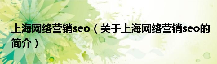 上海網絡營銷seo（關于上海網絡營銷seo的簡介）