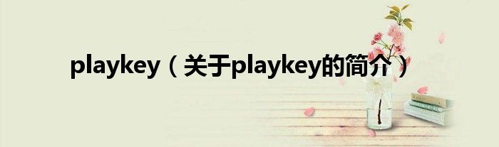 playkey（關于playkey的簡介）