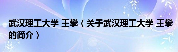 武漢理工大學(xué) 王攀（關(guān)于武漢理工大學(xué) 王攀的簡介）