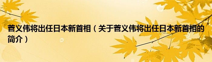 菅義偉將出任日本新首相（關于菅義偉將出任日本新首相的簡介）