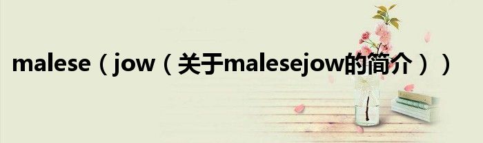 malese（jow（關于malesejow的簡介））