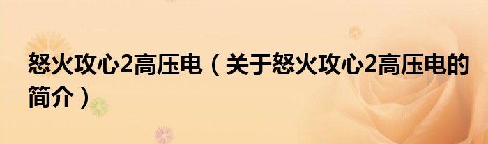 怒火攻心2高壓電（關于怒火攻心2高壓電的簡介）