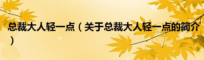 總裁大人輕一點(diǎn)（關(guān)于總裁大人輕一點(diǎn)的簡介）