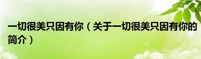 一切很美只因有你（關(guān)于一切很美只因有你的簡(jiǎn)介）