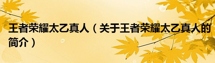 王者榮耀太乙真人（關(guān)于王者榮耀太乙真人的簡(jiǎn)介）