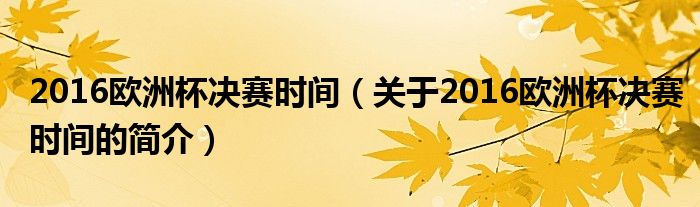 2016歐洲杯決賽時(shí)間（關(guān)于2016歐洲杯決賽時(shí)間的簡(jiǎn)介）