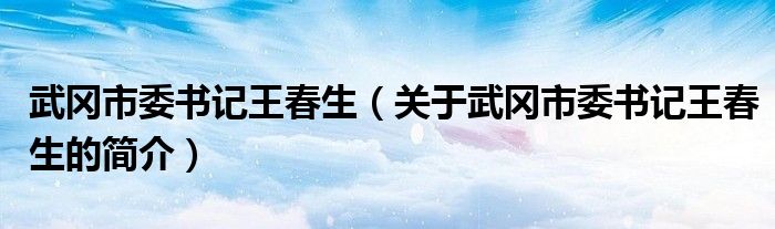 武岡市委書記王春生（關于武岡市委書記王春生的簡介）