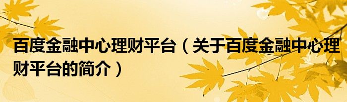 百度金融中心理財平臺（關(guān)于百度金融中心理財平臺的簡介）